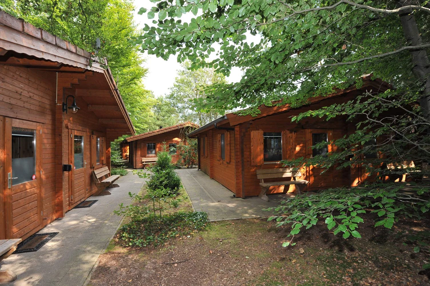 Lodges tussen het groen